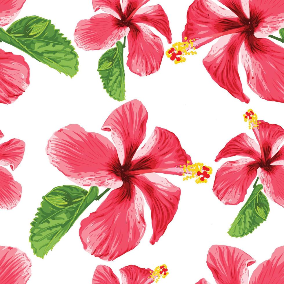 hibiscus bloemen 3 vector