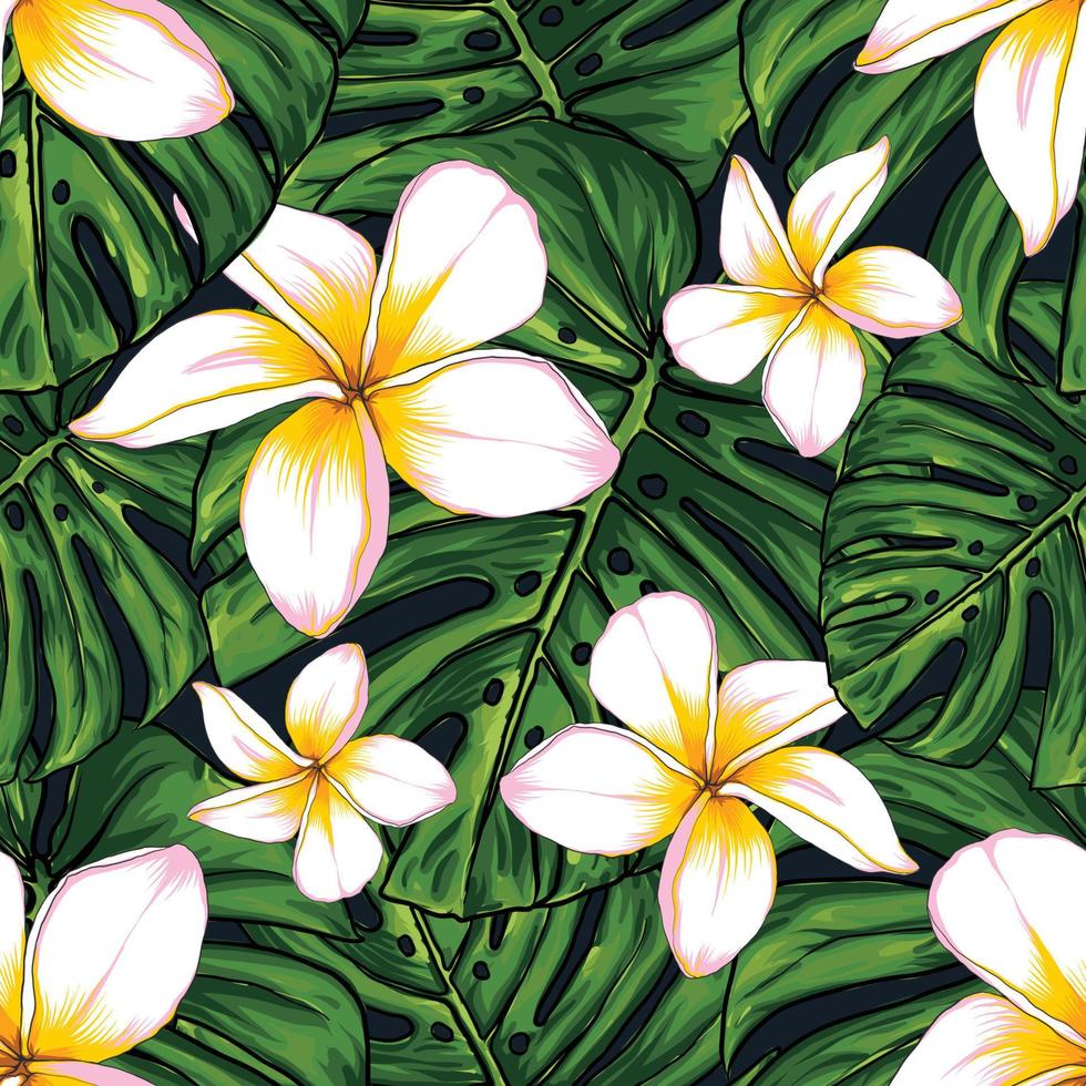 naadloos patroon monstera groen blad en frangipani bloemen achtergrond.vector illustratie droog waterverf hand- tekening stijl.stof ontwerp tekst vector