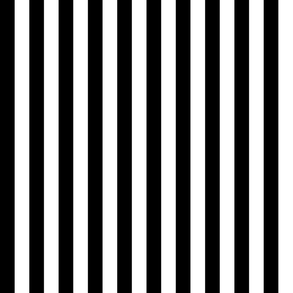 zwart wit strepen naadloos patroon. vector illustratie.