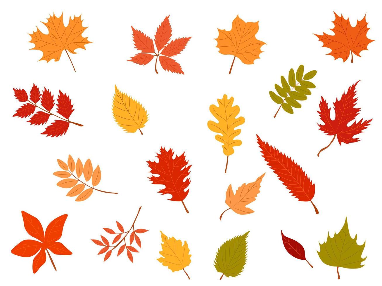 een groot reeks van bladeren in herfst kleuren vector