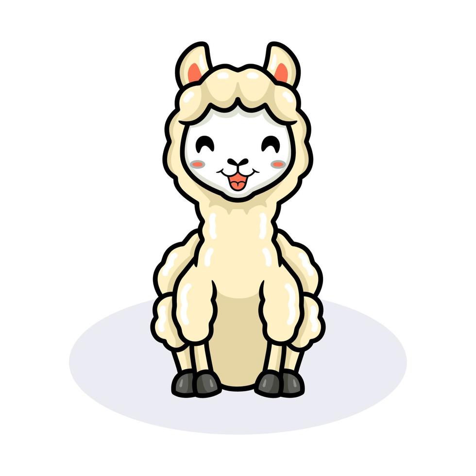 schattig weinig alpaca tekenfilm zittend vector