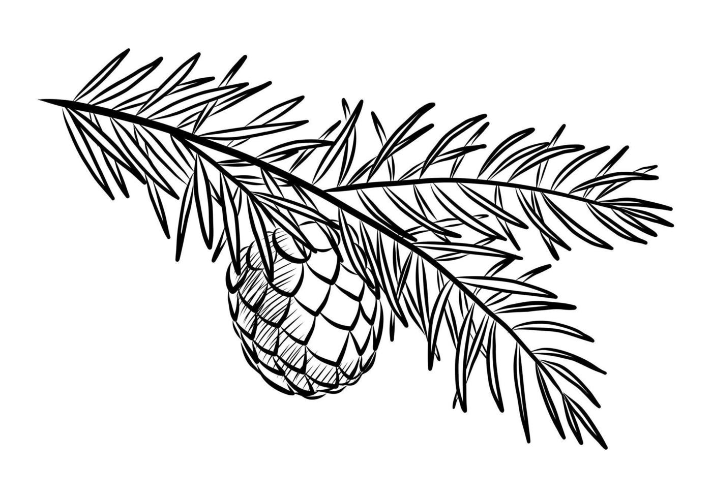 zwart vector illustratie van een pijnboom Afdeling met een ijshoorntje geïsoleerd Aan een wit achtergrond