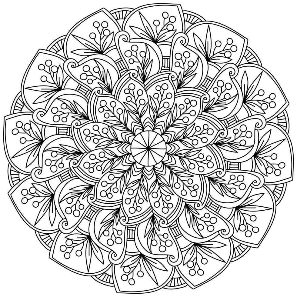 overladen mandala met takjes van bessen en bladeren, meditatief kleur bladzijde met fabriek motieven vector