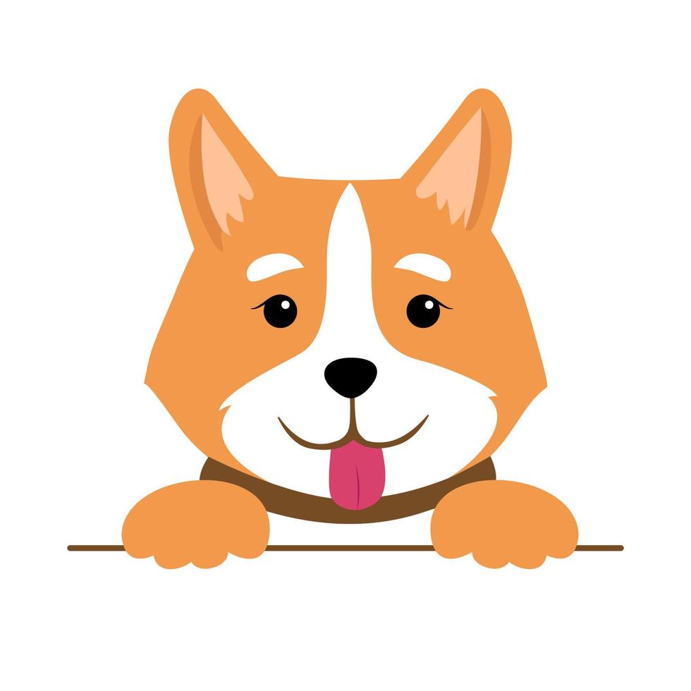 corgi hoofd Aan een wit achtergrond. vector