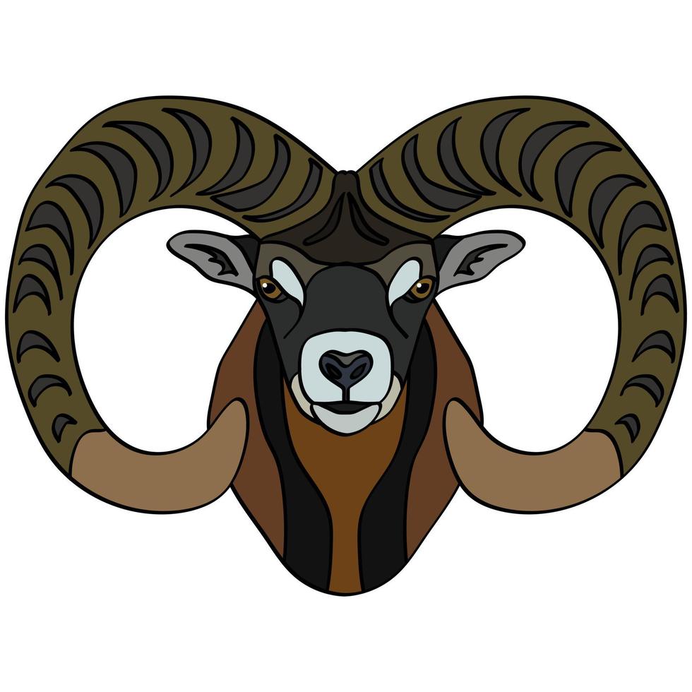 de hoofd van een berg schapen. portret van klein vee. geïsoleerd Aan een wit achtergrond. ontwerp element voor logo, poster, kaart, banier, embleem, t-shirt. vector illustratie.