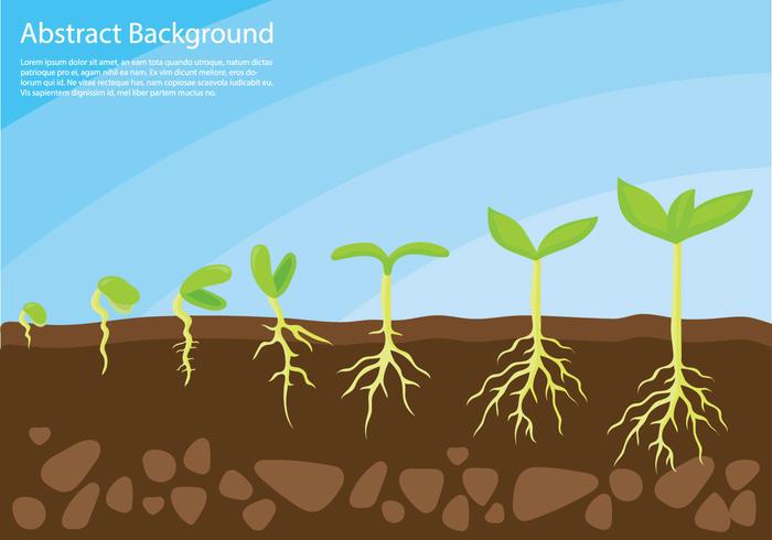 Plant groeit op concept vector