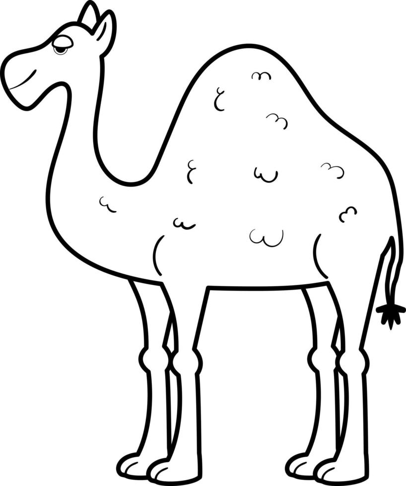 Afrikaanse kameel dromedaris vector