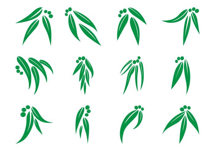 Gratis Eucalyptus Blad Logo Vector