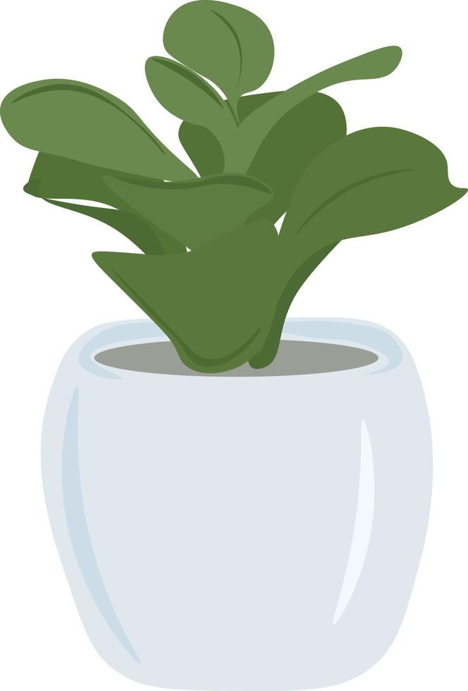 plant in bloempot vector