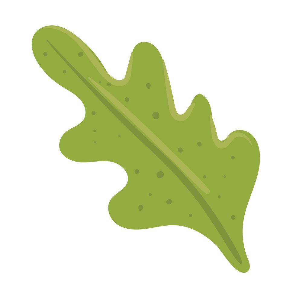 blad koriander groente vector