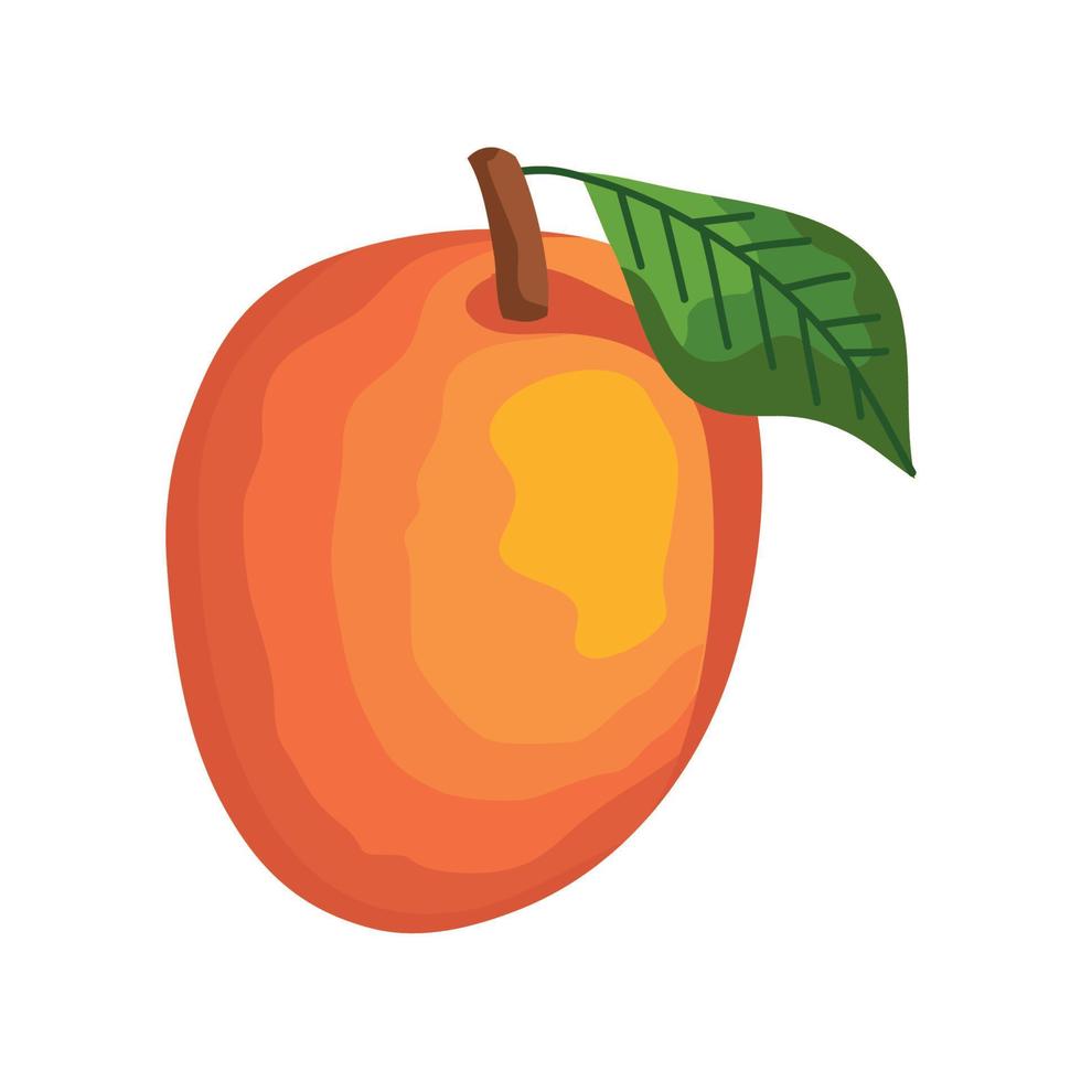 mango vers fruit vector