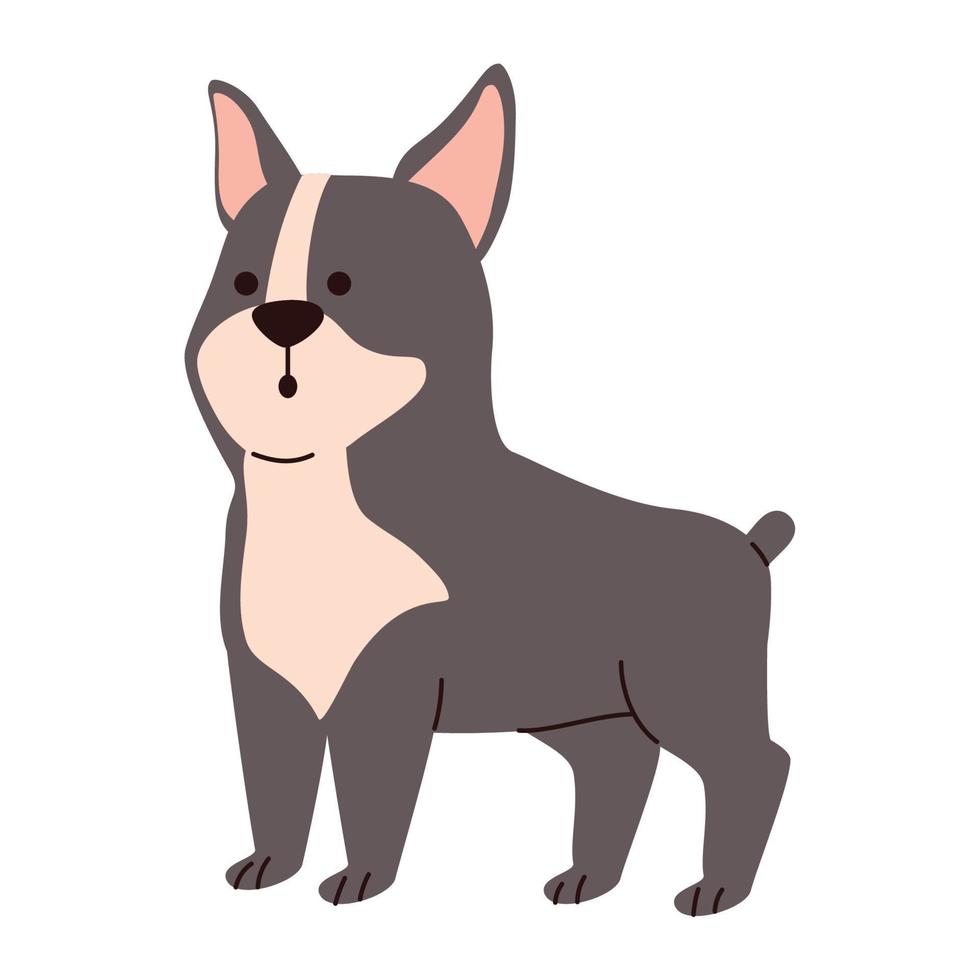 schattig grijs hond huisdier vector