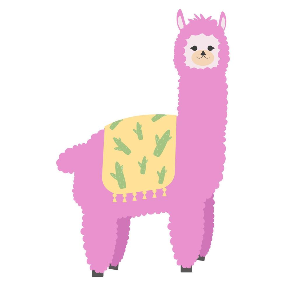 schattig lama. lama Aan een wit geïsoleerd achtergrond. vector illustratie. lama.