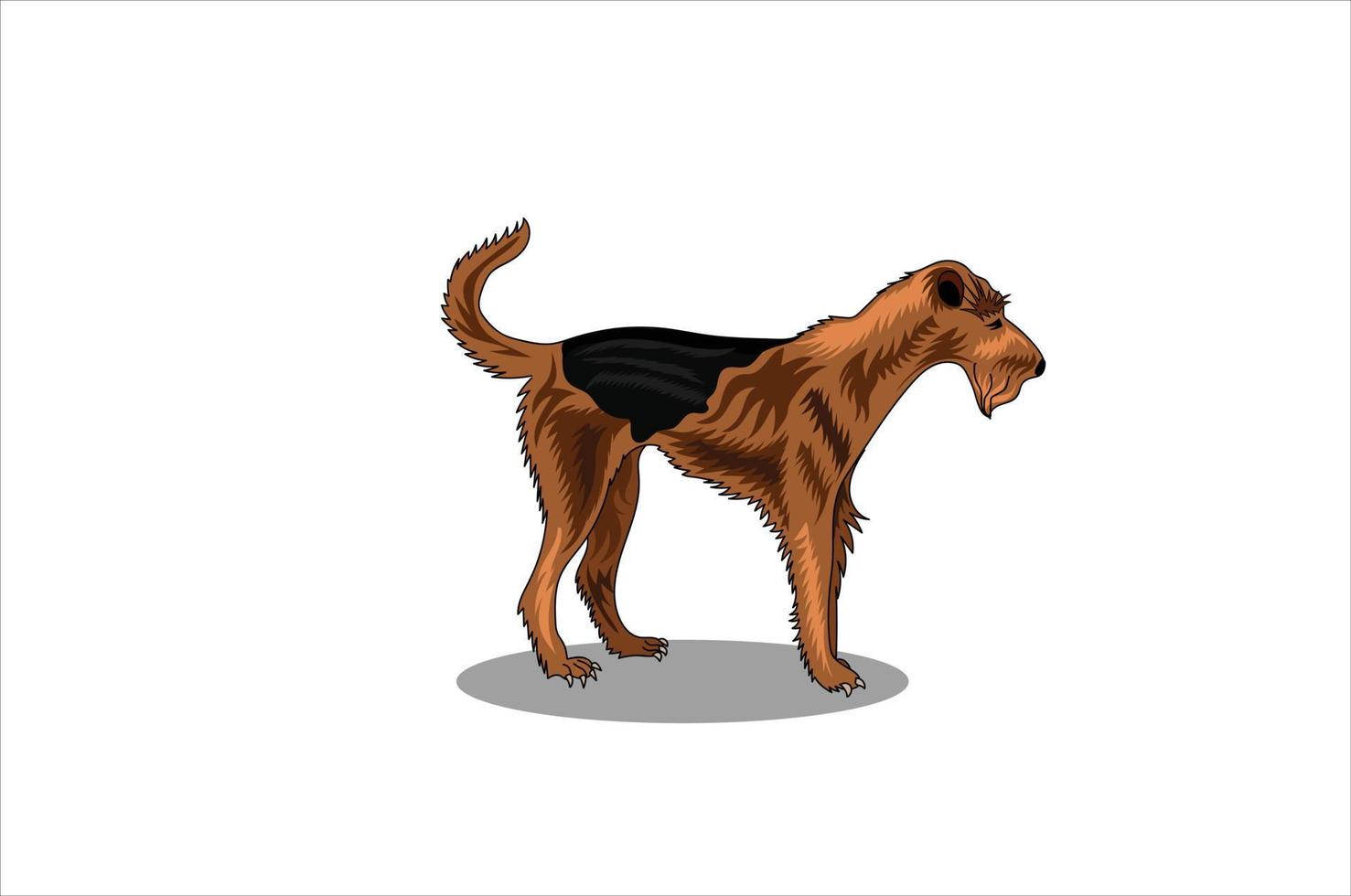 airedale terriër vector illustratie Aan wit achtergrond