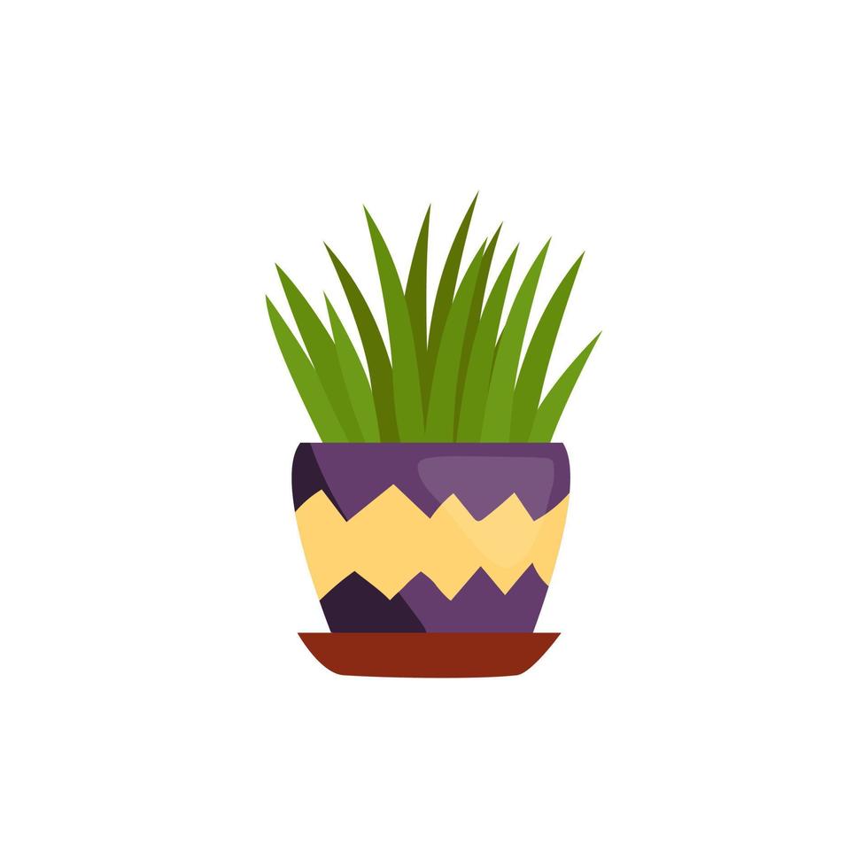 een kamerplant met lang bladeren in een Purper pot. vector