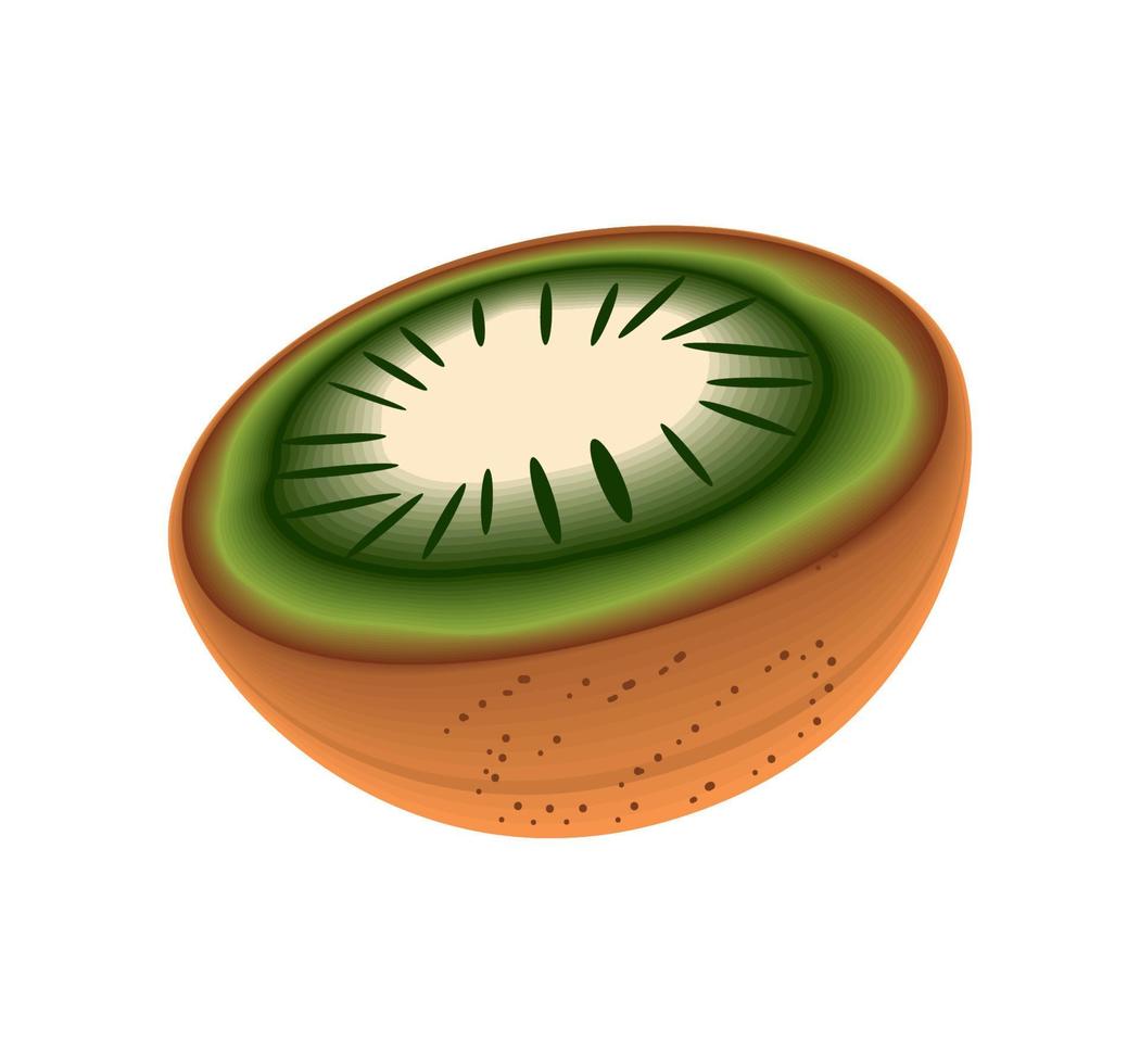 realistisch fruit kiwi vector