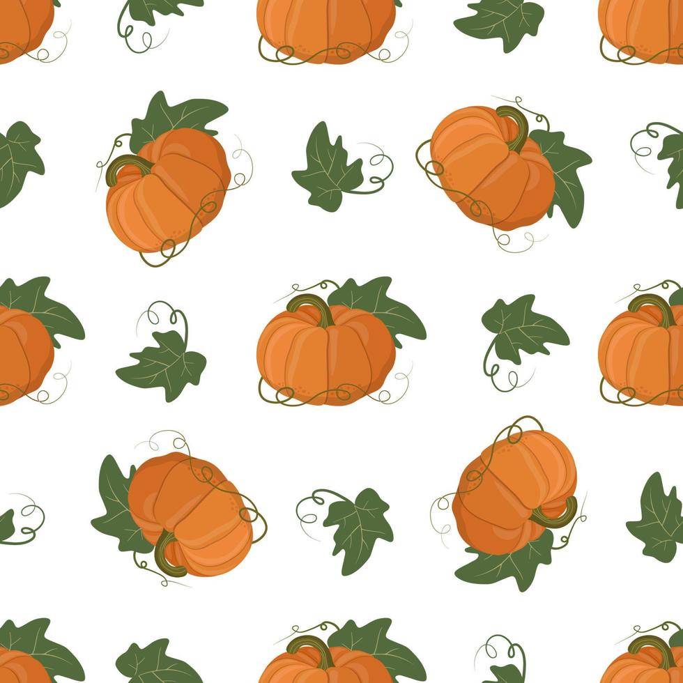 naadloos herfst patroon met pompoenen Aan een wit achtergrond. vector