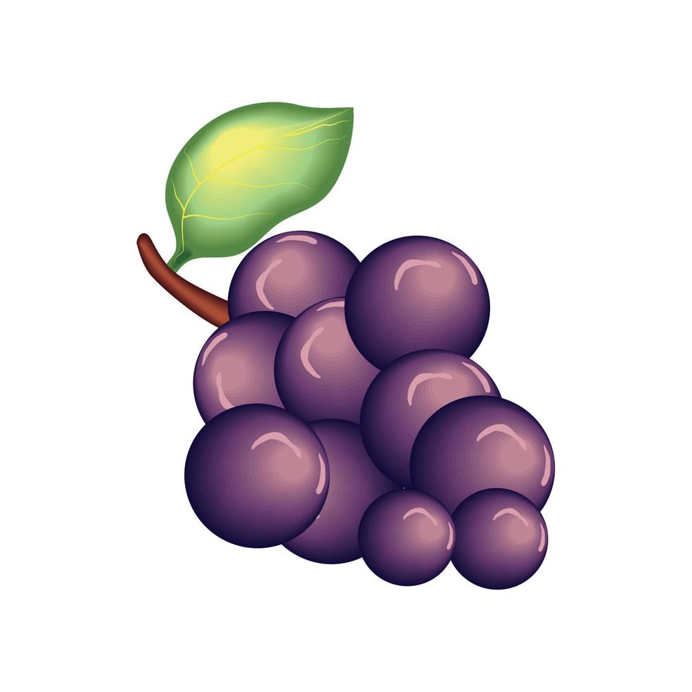 realistisch fruit druiven vector