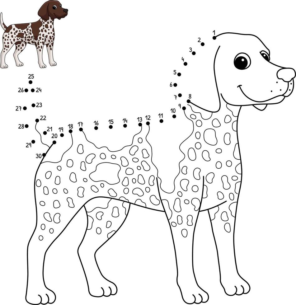 punt naar punt Duitse kortharig wijzer hond geïsoleerd vector