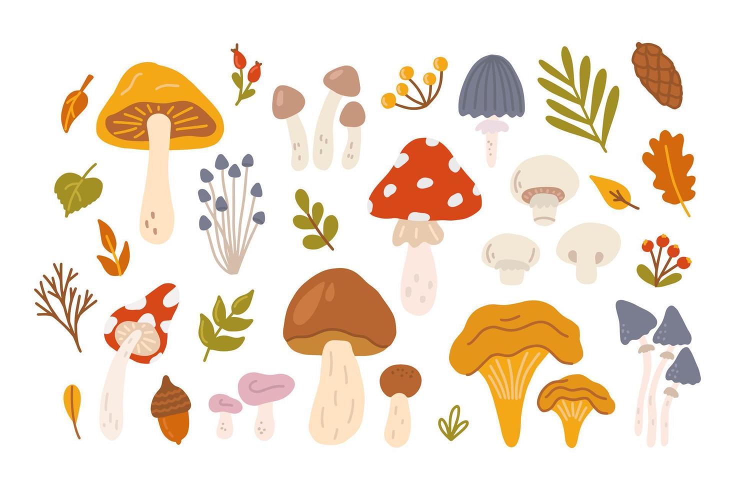 reeks van verschillend champignons met bessen en bladeren van bomen. vector vlak illustratie in hand- getrokken stijl Aan wit achtergrond