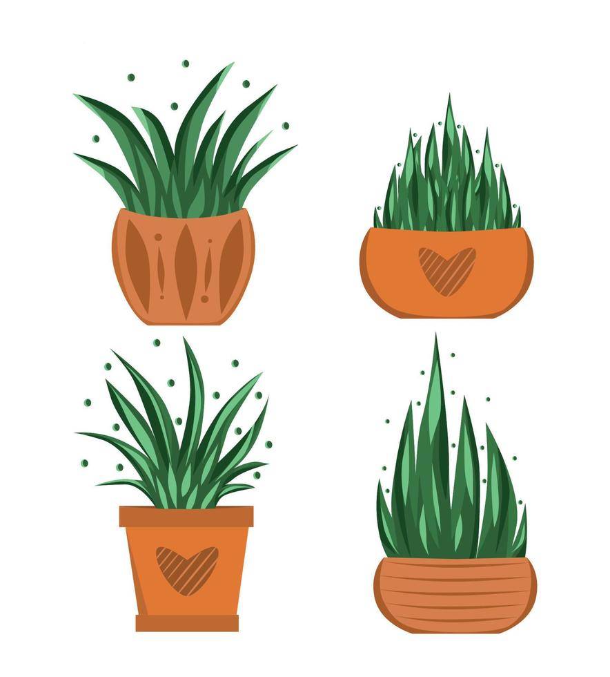 vector illustratie reeks van plantkunde decoratief bloempotten planten bladeren en eigengemaakt bloemen in een pot