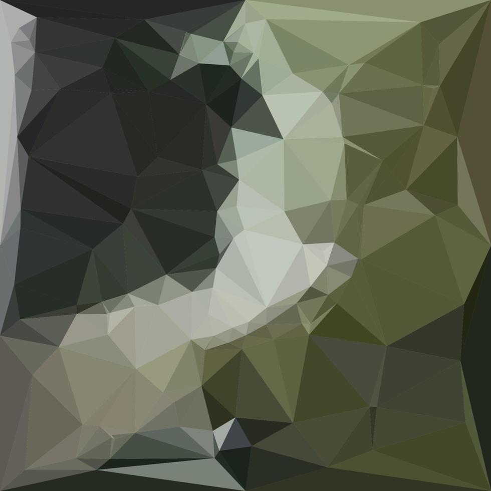 donker leisteen grijs abstract laag veelhoek achtergrond vector