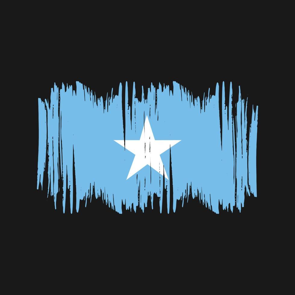 Somalië vlag vector borstel. nationaal vlag borstel vector
