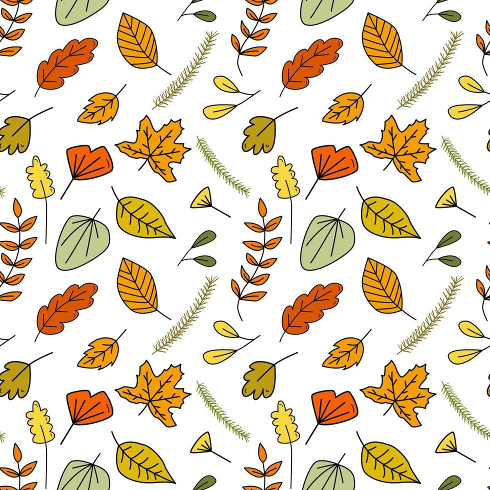 naadloos tekening patroon met Woud herfst kleurrijk bladeren en net takken. hand- getrokken vector illustratie voor kleding stof, textiel, achtergronden, geschenk omhulsel papier enz