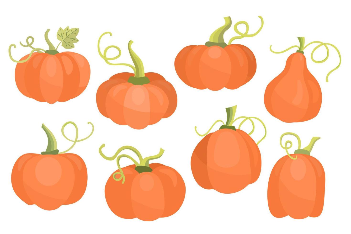 pompoenen set. hand- getrokken vlak vector illustratie. Super goed voor creëren stickers, affiches, herfst halloween en dankzegging kaarten