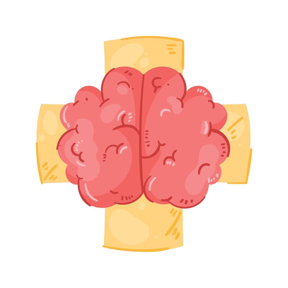 hersenen orgaan in kruis vector