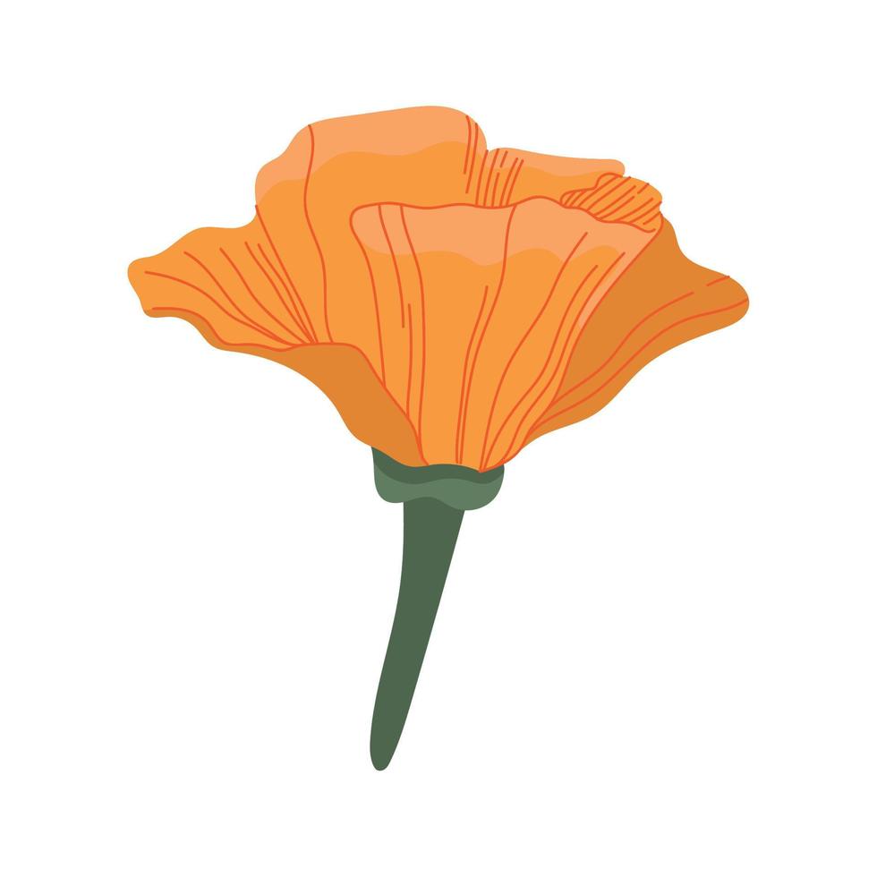 oranje bloementuin vector