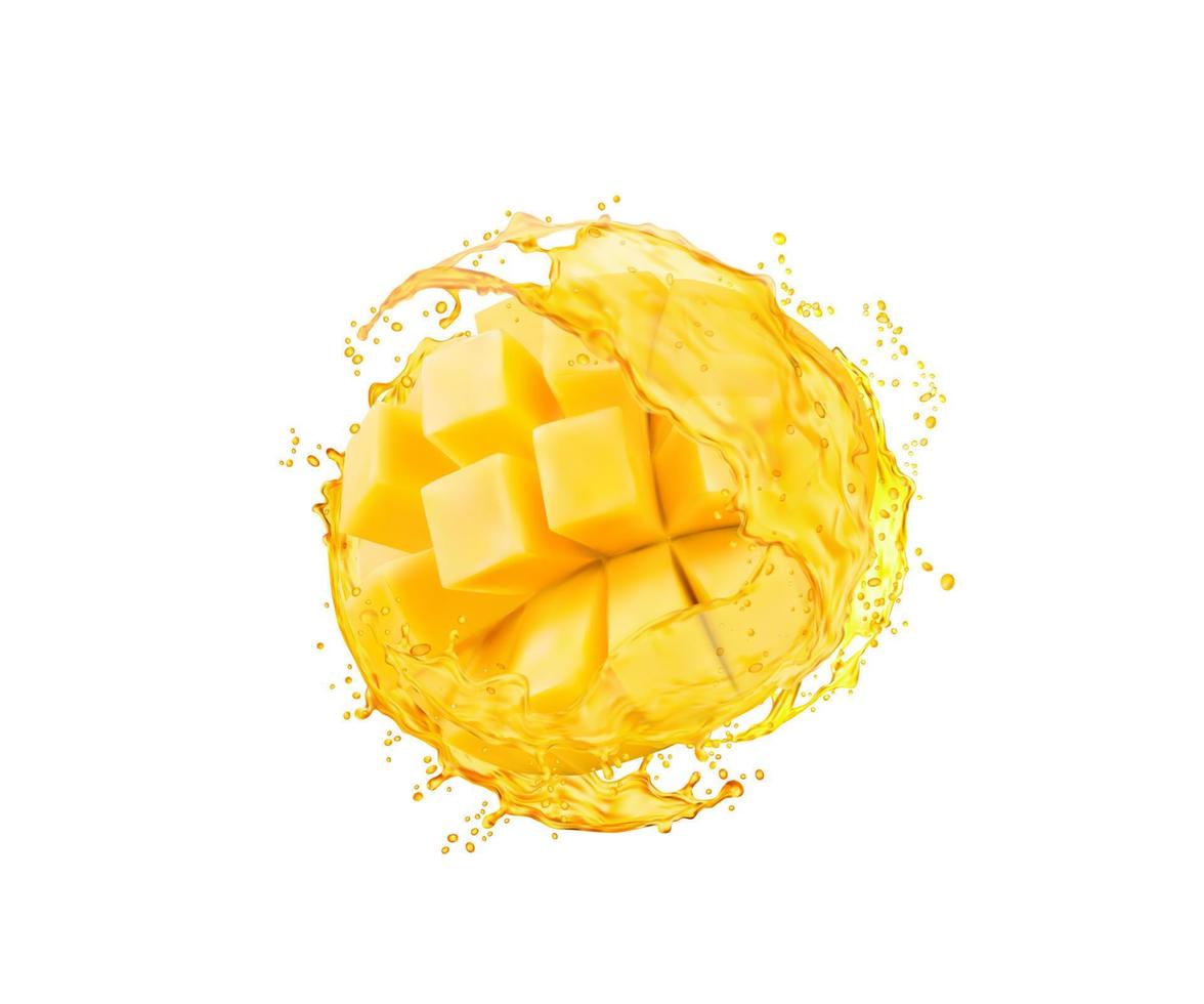 mango fruit plak met vers sap stromen plons vector