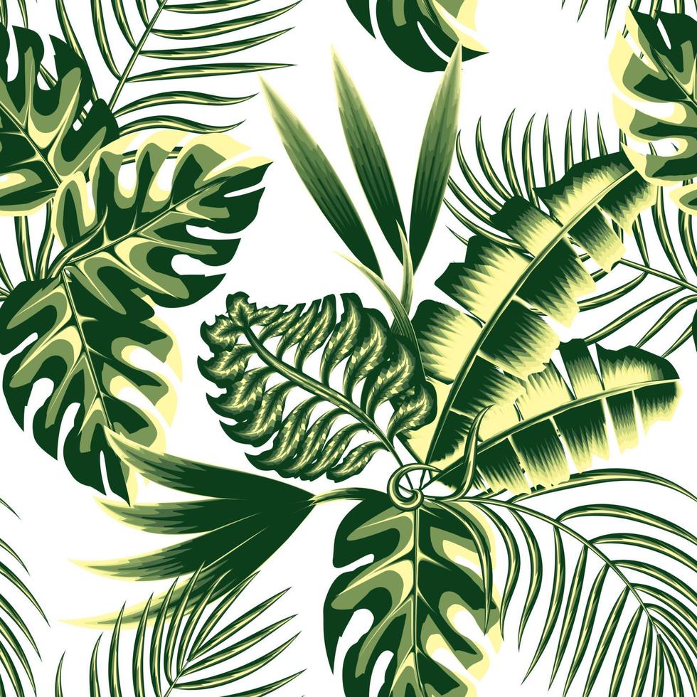 tropisch naadloos patroon met groen monochromatisch exotisch fabriek en bladeren Aan wit achtergrond. oerwoud gebladerte illustratie. exotisch behang. modieus zomer Hawaii afdrukken. natuur ornament. de lente. vallen vector