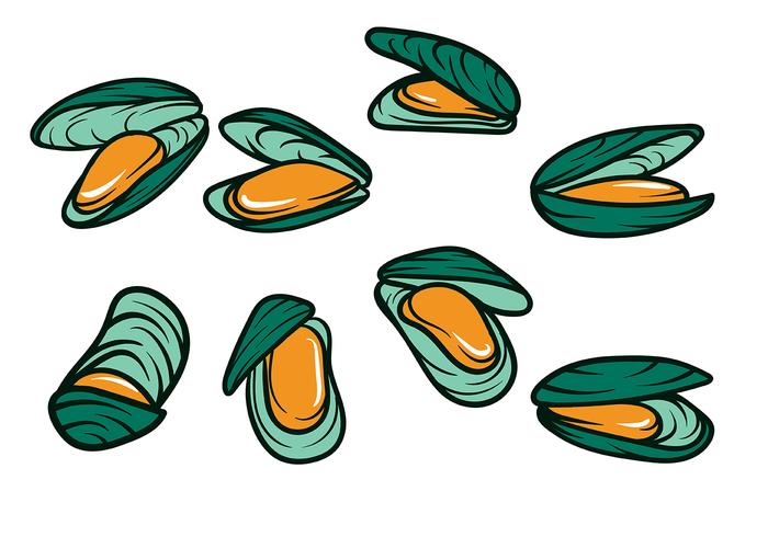 Mossel Vector Icon