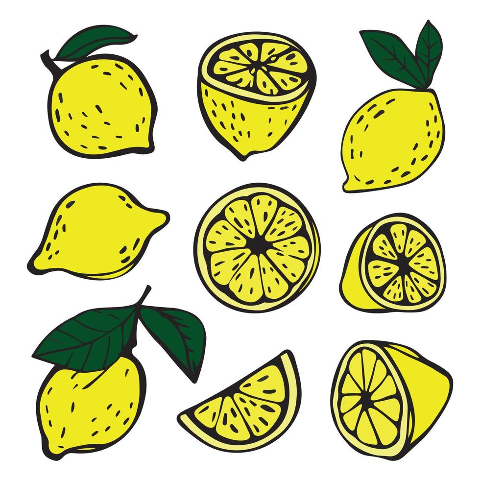 hand- getrokken tekening schetsen illustratie van citroen in verschillend standen vector