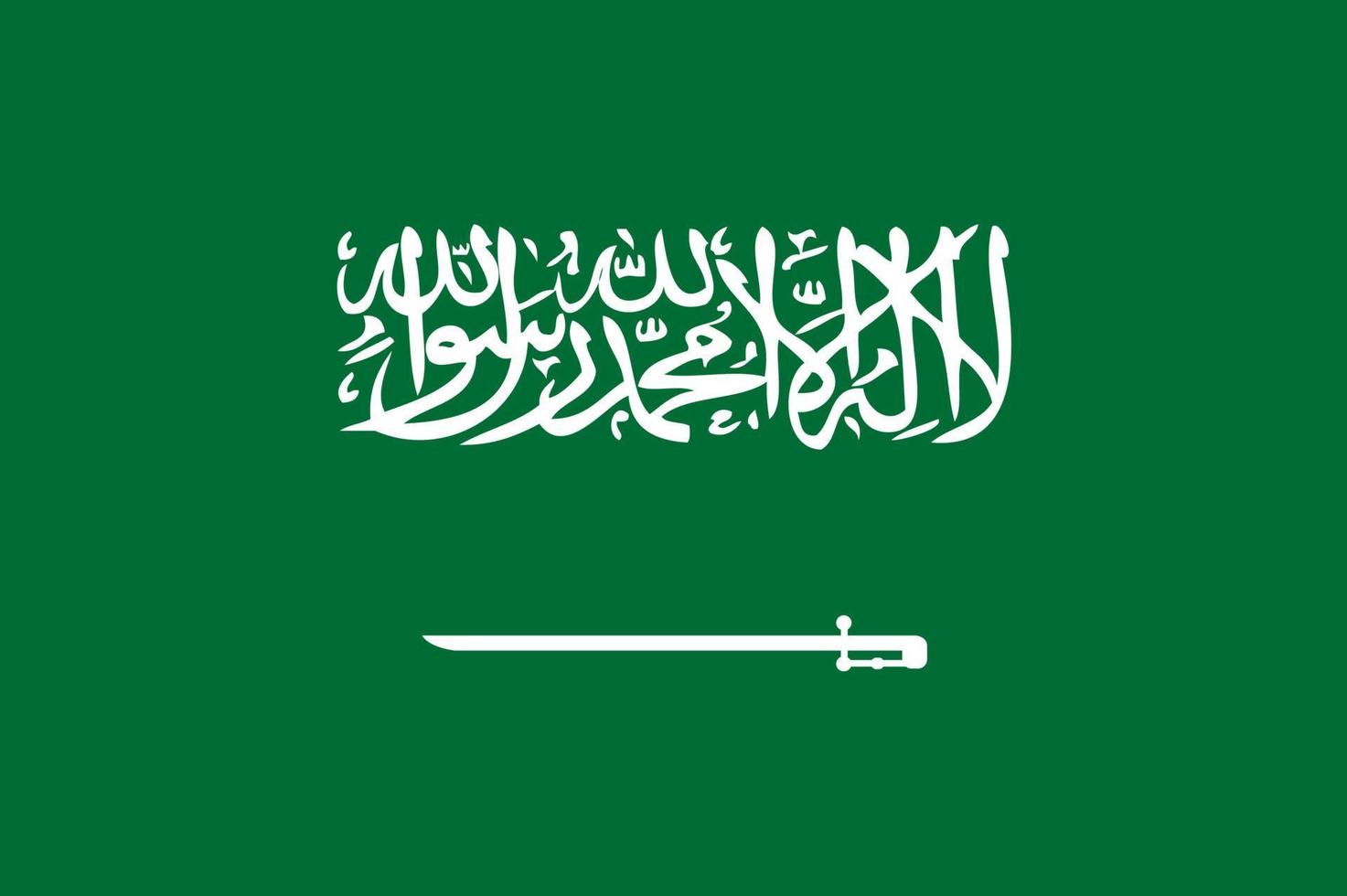 saudi Arabië hand- getrokken vlag, saoedi riyal hand- getrokken vector