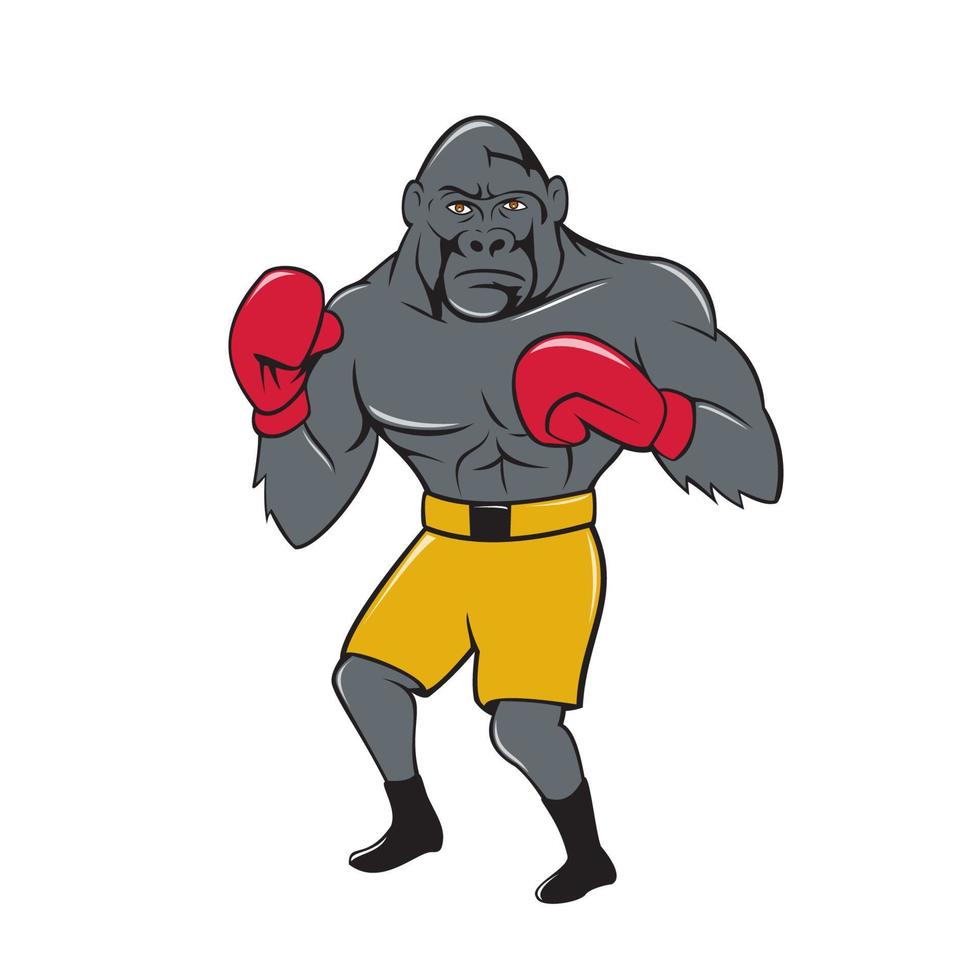 gorilla bokser boksen houding tekenfilm vector