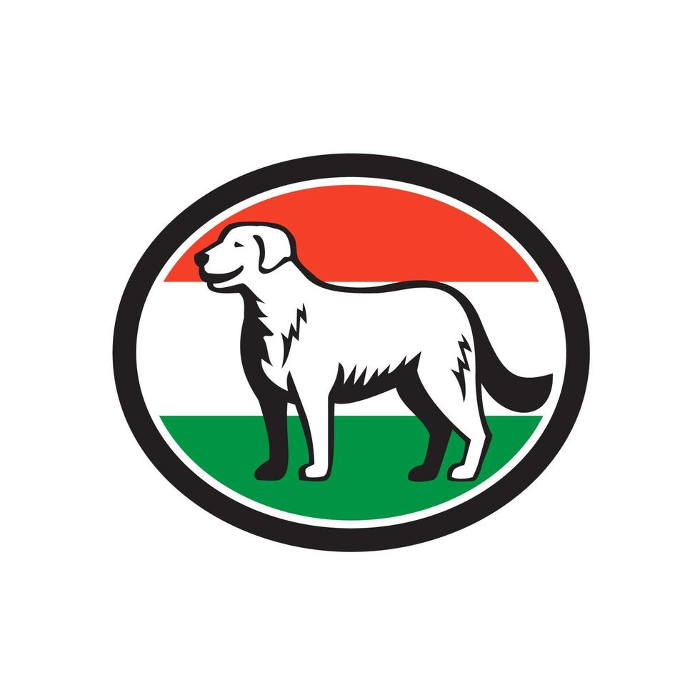 kuvaszo hond Hongaars vlag ovaal retro vector