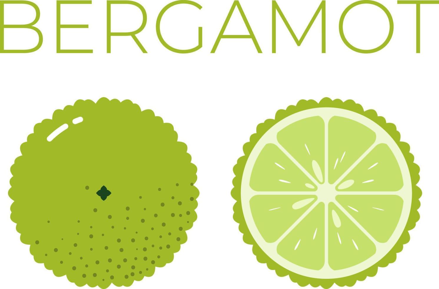 bergamot en gesneden voor de helft van bergamot met fruit naam bovenstaande. vitamine citrus fruit. vlak geïsoleerd vector Aan wit achtergrond