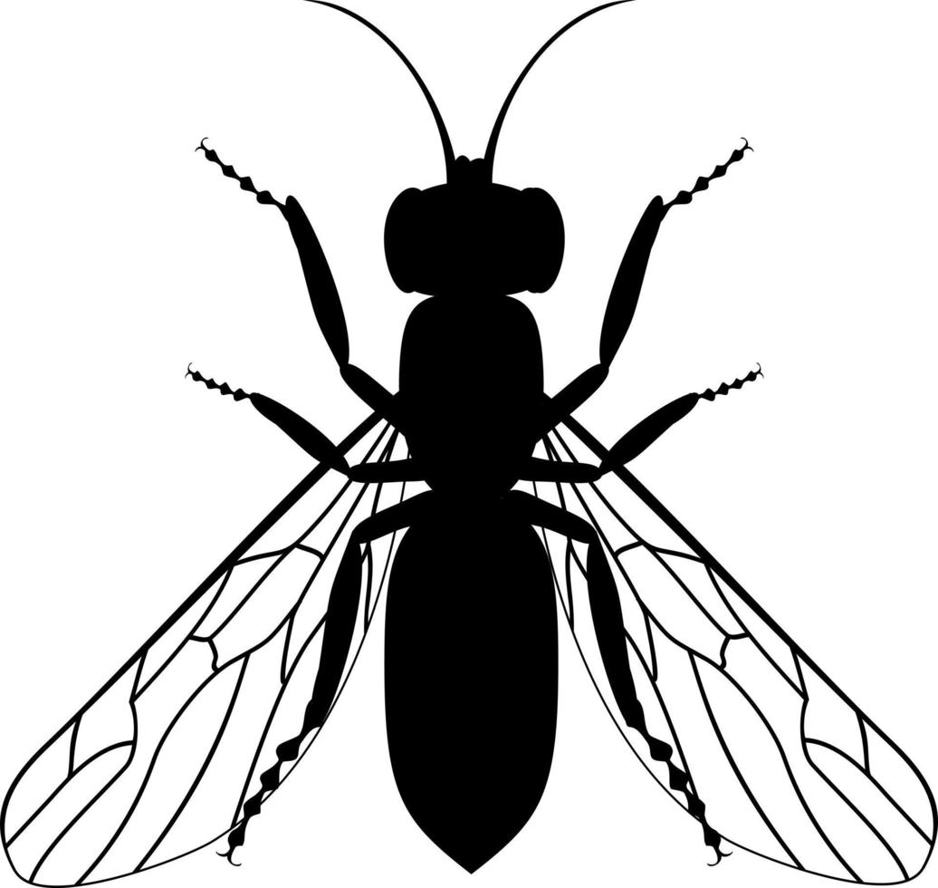 zwart silhouet van een wesp. vliegend insecten illustratie vector