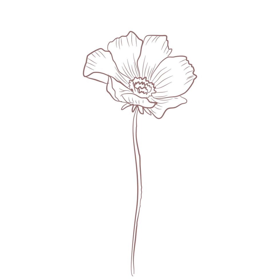 hand- getrokken bloem schetsen lijn kunst vector illustratie