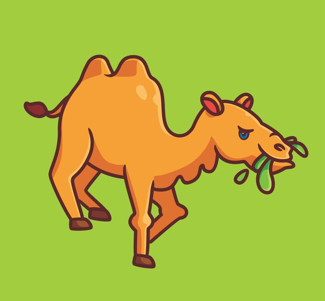 schattig kameel aan het eten gras. geïsoleerd tekenfilm dier illustratie. vlak stijl sticker icoon ontwerp premie logo vector. mascotte karakter vector