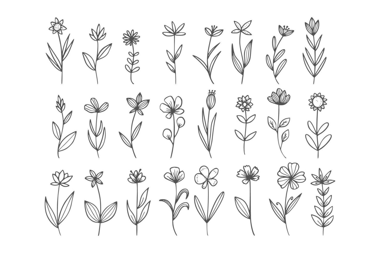 wilde bloemen lijn kunst pak vector