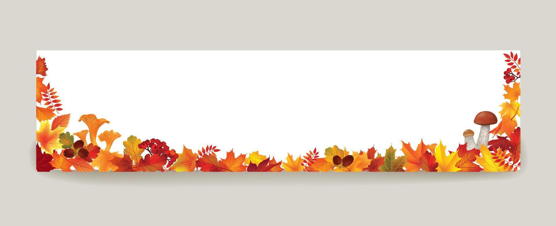 herfst bladeren achtergrond. seizoen bloemen horizontaal behang. vallen blad natuur banier uitverkoop ontwerp vector