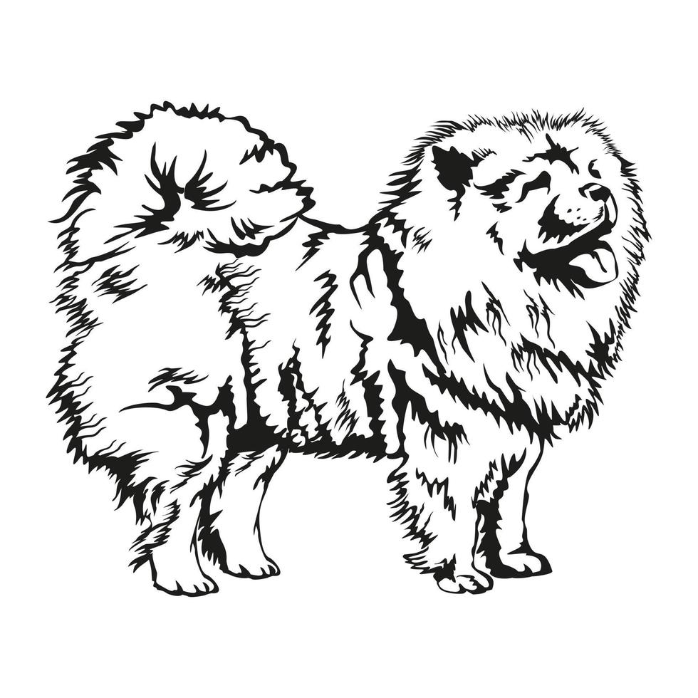 decoratief chow chow vector illustratie