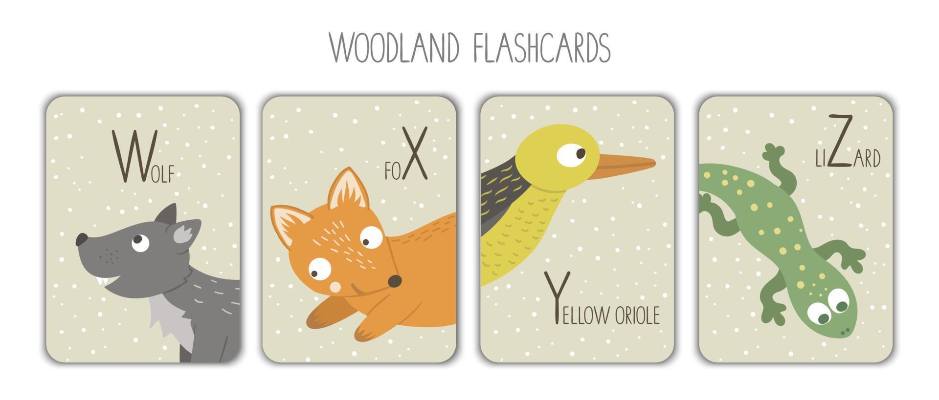 kleurrijk alfabet brieven w, x, ja, z. klanken geheugenkaart. schattig bos- themed abc kaarten voor onderwijs lezing met grappig wolf, vos, geel wielewaal, hagedis. vector