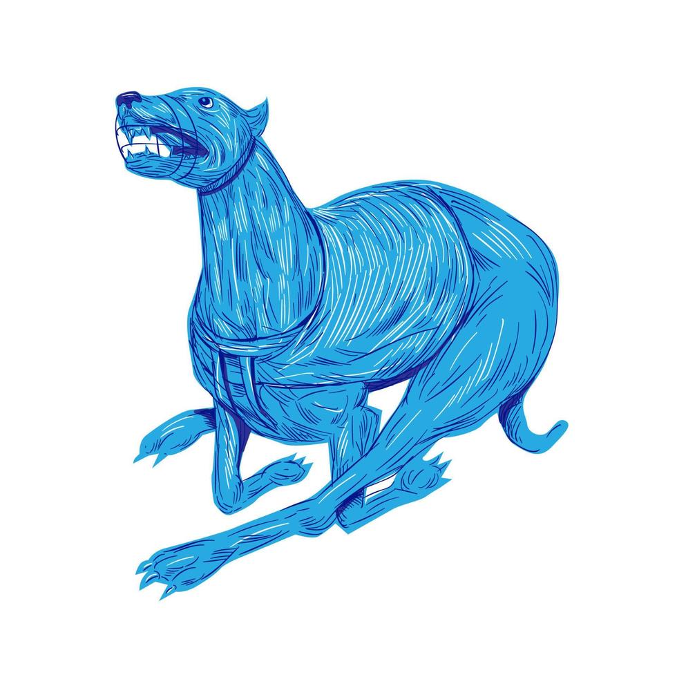 windhond hond racing tekening vector