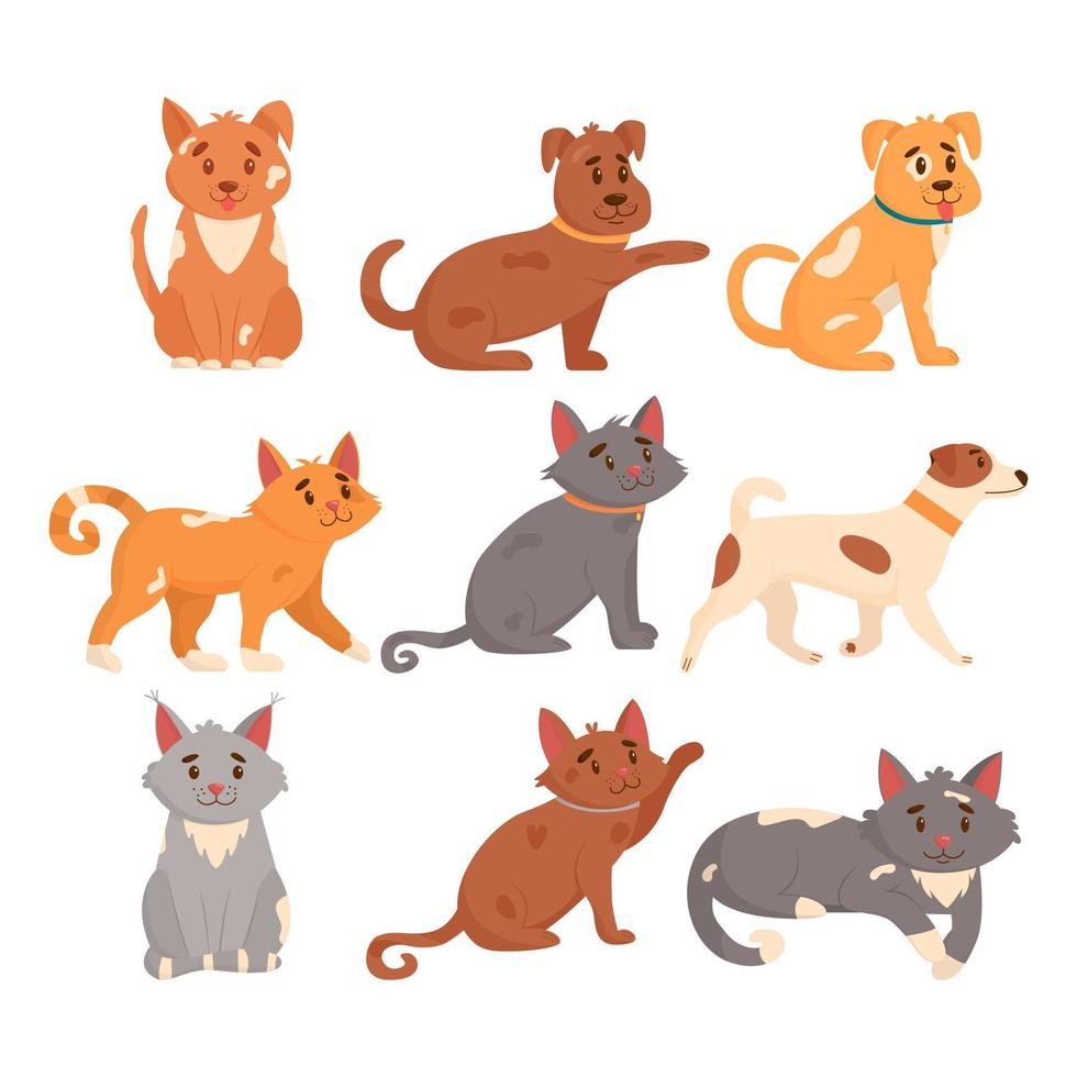 reeks van schattig honden en katten in verschillend poseert. grappig honden en katten geïsoleerd Aan wit achtergrond. vlak vector illustratie