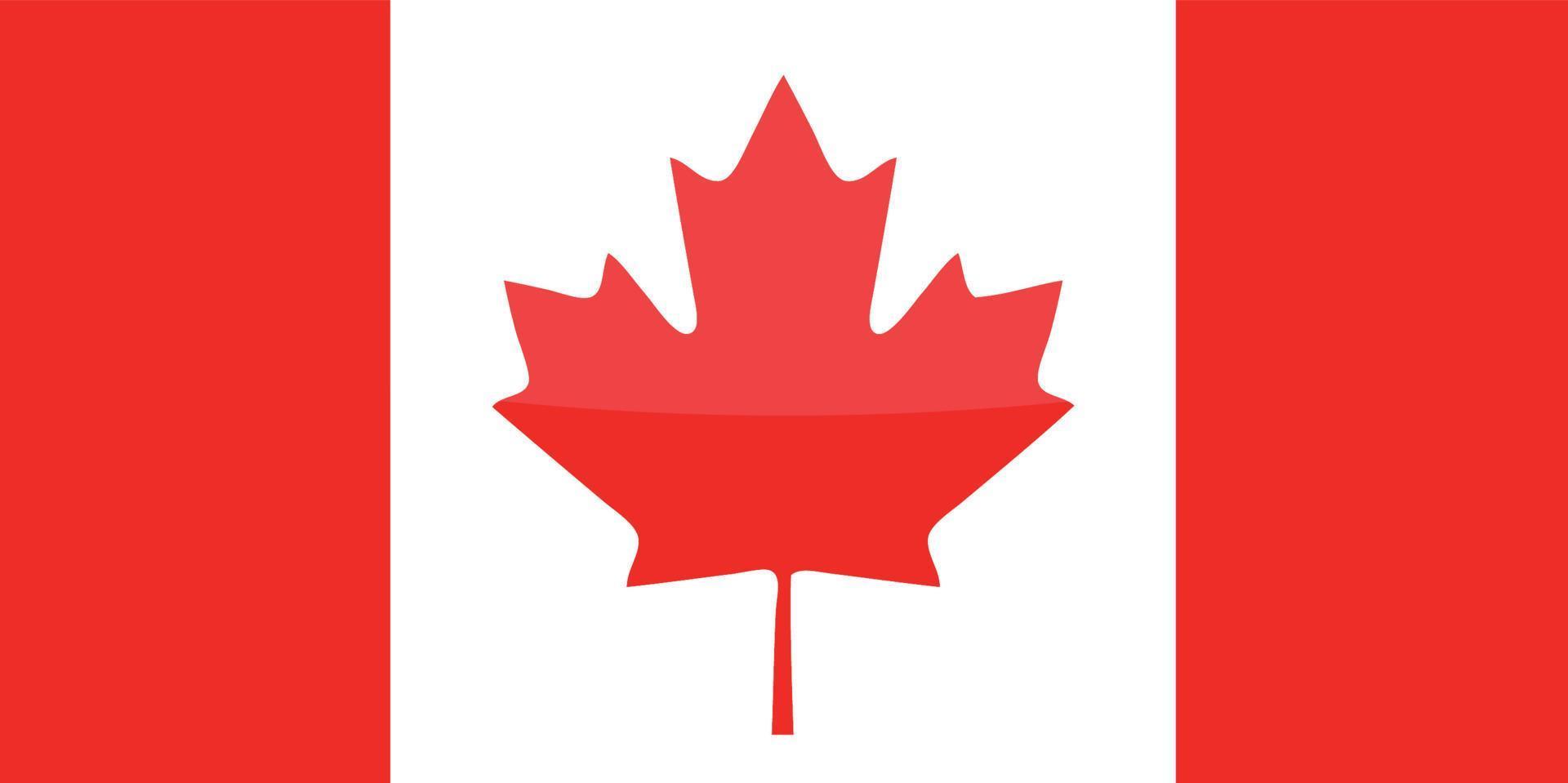 Canadees vlag hand- getekend, canadees dollar hand- getrokken vector
