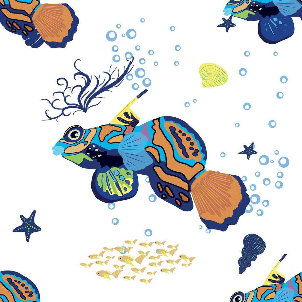 mandarijn- vis naadloos patronen. mooi karakter tussen schelpen, zeewier, zeester, zee dier dieren in het wild karakter. natuur onderwater, marinier wild oceaan dierentuin vis. vector